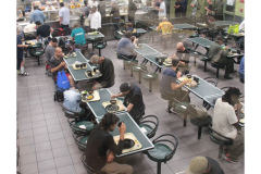 60th Anniversary Website Gallery - LARGE - Good-Shepherd-Meal-Line-2023 (3)