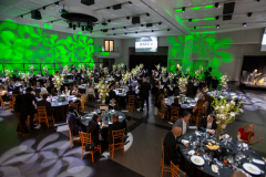 Website Gallery - Angels Among Us Gala 2026 - Angels Among Us 2026 Gallery 14