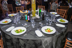 Website Gallery - Angels Among Us Gala 2026 - Angels Among Us 2026 Gallery 16