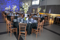 Website Gallery - Angels Among Us Gala 2026 - Angels Among Us 2026 Gallery 55