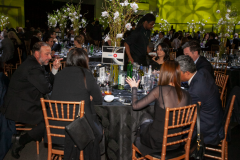 Website Gallery - Angels Among Us Gala 2026 - Angels Among Us 2026 Gallery 8
