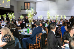 Website Gallery - Angels Among Us Gala 2026 - Angels Among Us 2026 Gallery 9